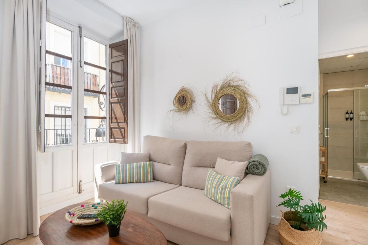 Apartamentos Luna Suites Palacio Dorita 格拉纳达 外观 照片